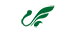 W5